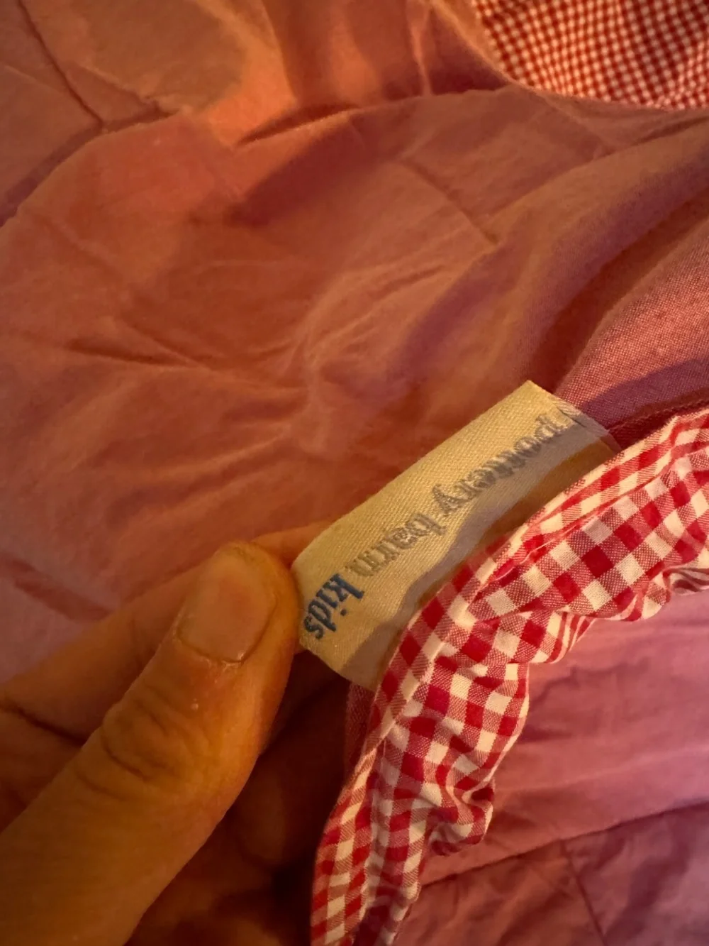 Rare Pottery Barn Kids Gingham twin comforter organic cotton Vintage collectors